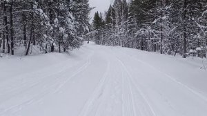 MOTODOG 20лс|мини-снегоход "Белка"|пикник в лесу|покатушки с приключениями|мотобуксировщик