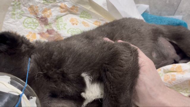Бессонные ночи | Обзор и свежие новости