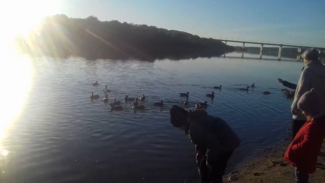 Калуга. река Ока смотреть онлайн