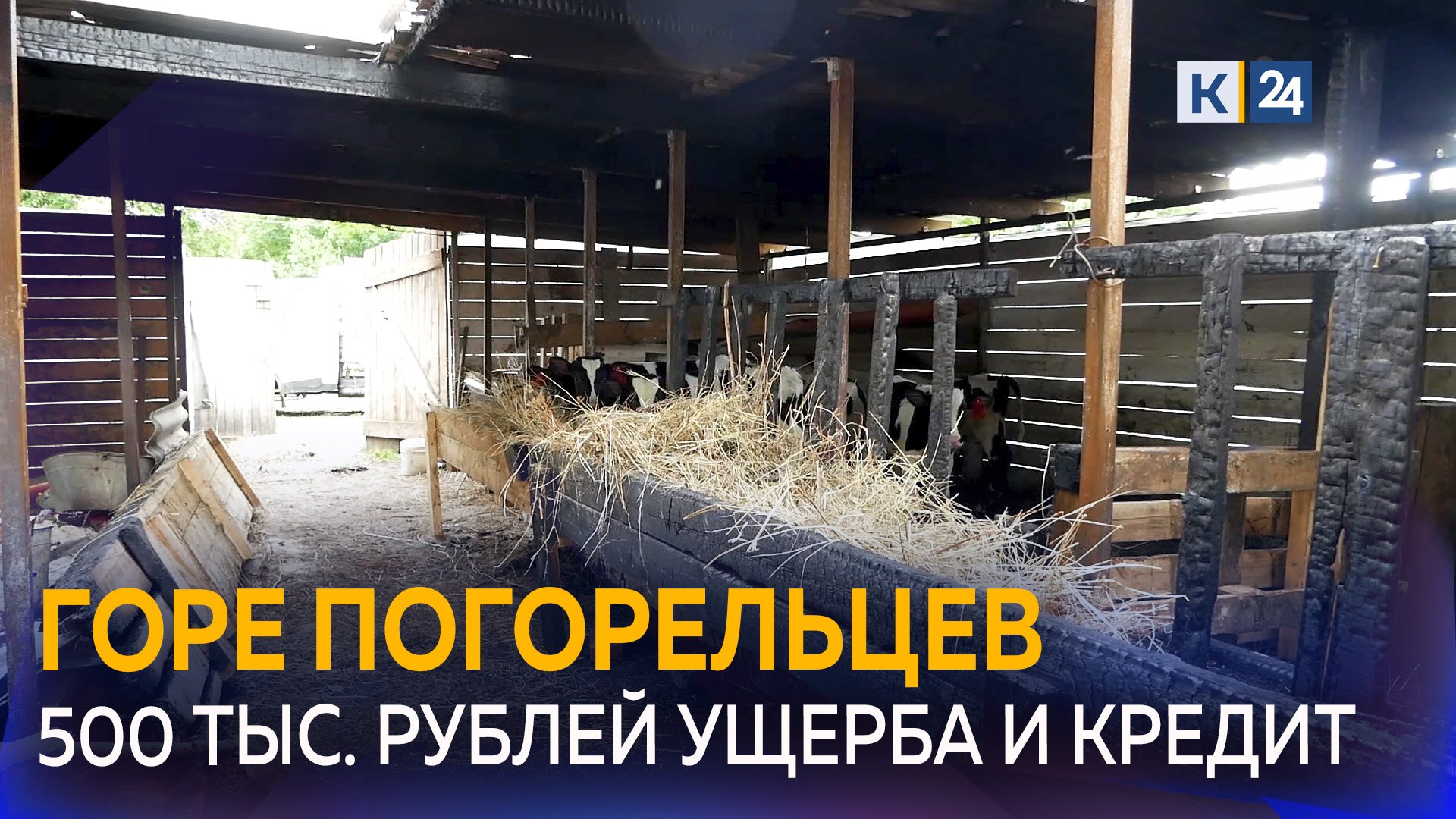 Поджог фермы на Кубани: что удалось спасти и можно ли восстановить?