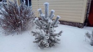 Поворотный столик для торта (сборка)