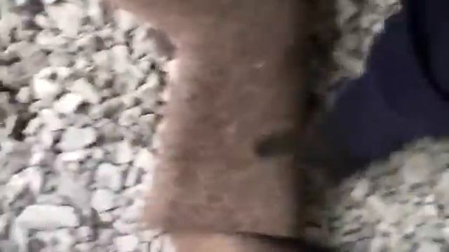 Валинки на резиновой подошве