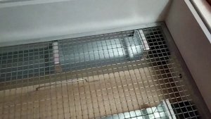Обзор выводного инкубатора НОРМА ПК 2