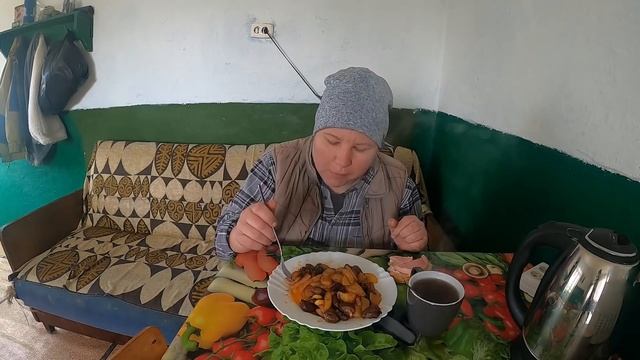 ЖИВУ ОДНА В ДЕРЕВНЕ /КУПИЛА ДОМ И КУЧУ МУСОРА В ПРИДАЧУ/ ЖИЗНЬ В ДЕРЕВНЕ смотреть онлайн