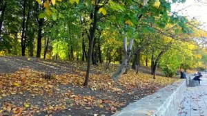 Краснодар - красота осени ????☀️ - 23 октября 2023 г.