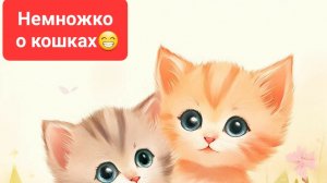 Немножко о кошках😁 Удивлялки от Эмика