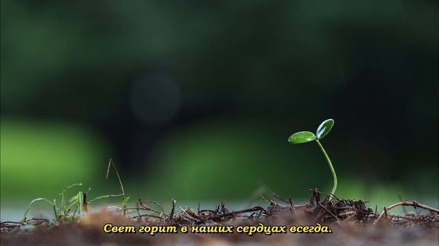 Жить