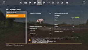 Свиньи, подробный гайд. Уход, доход, механика | Farming Simulator 19