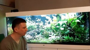 Аквариум Juwel 450л на 54 день после запуска. Состояние аквариума, тесты воды, рост растений. Ч 24.
