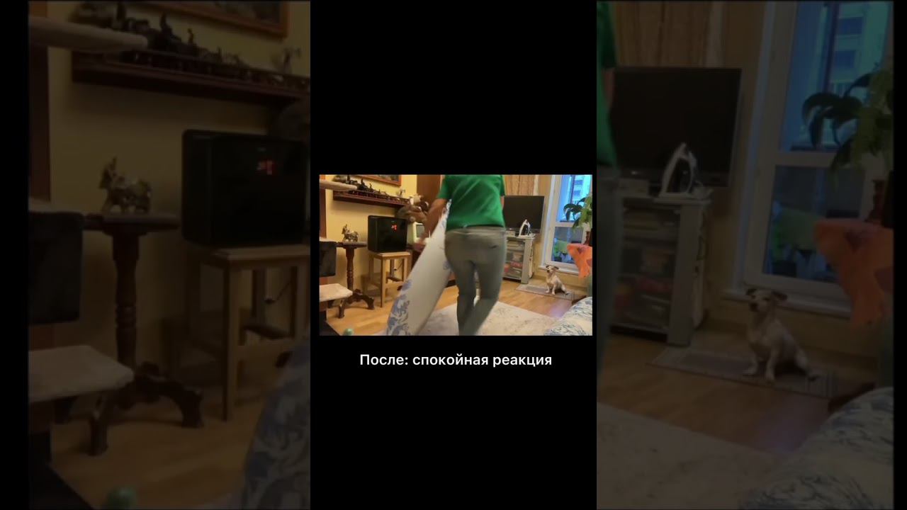 Зацикленность