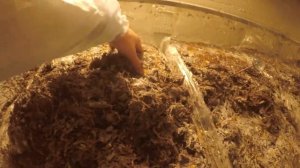 Бизнес в гараже. Выращивание Шампиньонов. Покровка