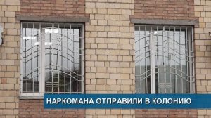 Попался на видео//Самая крупная партия контрафакта//Наркомана отправили в колонию - Абакан 24