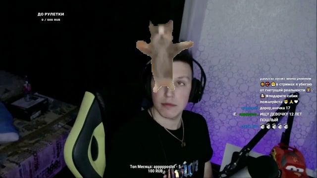 Кот Шнапи флексит в разных местах: смотреть онлайн