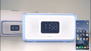 Радиоприемник с будильником TF-1705UB.