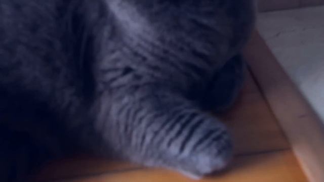 VLOG: НАЧИНАЕТ МАНДРАЖИТЬ! 06.07.17 смотреть онлайн