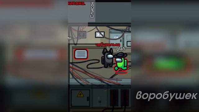 тик ток оказался предателем смотреть онлайн