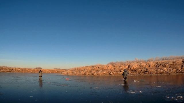 Сезон 2019-2020. Балансир ЛАКИ ДЖОН ФИН 5, сделал рыбалку!!! смотреть онлайн