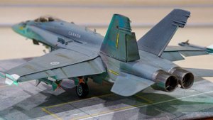 F/A18C HORNET AIR FORCE ?