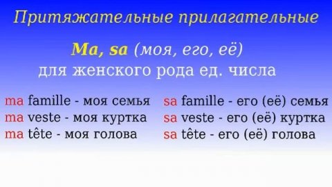 3 Урок французского. Грамматика 1/6. Притяжательные прилагательные. #французскийязык