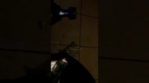 DENCKERMANN
Качество запчастей