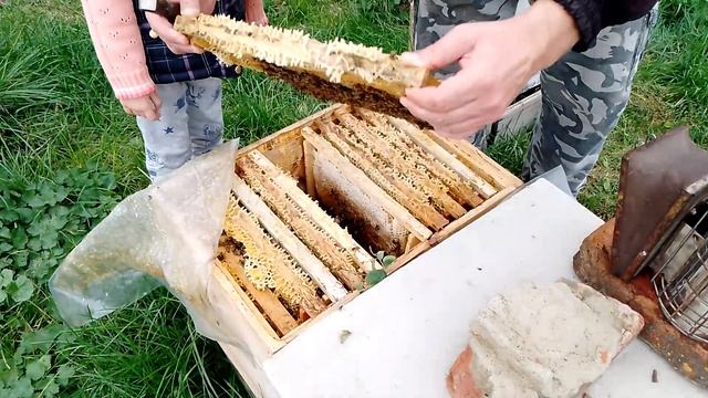 2 октября состояние семей 2022 смотреть онлайн