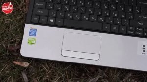 Видео обзор ноутбука Packard Bell ENTE11HC