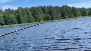 Рыбалка нас удивила, мотор ещё больше!!! Обкатка  Tohatsu 9.8 / ловля рыбы на спиннинг и поплавок.