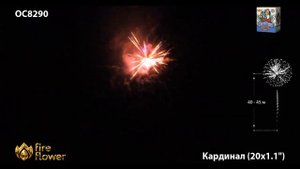 Салют Кардинал