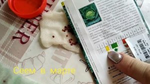 Посадка капусты на бумагу. Как сажать? Капуста Савойская "золотая ранняя". Посадка капусты в марте.