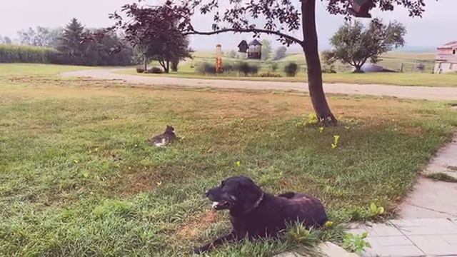 🔴 доброе КАЙФОВОЕ утро 🔴 смотреть онлайн