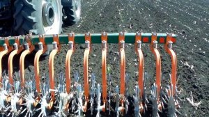Ротационная борона по подсолнуху
