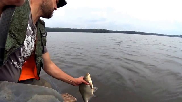 ЛОВЛЯ ЛЕЩА МАХОВОЙ УДОЧКОЙ В ЧЕЧЕВИЧАХ./ТНЕ BREAM FISHING смотреть онлайн