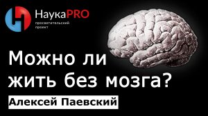 Можно ли жить без мозга? | Последние данные – Алексей Паевский | Нейроновости | Лекции по медицине