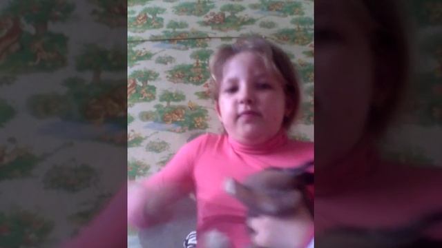 Как правильно расчесать кролика смотреть онлайн