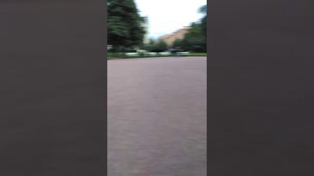 Ярослав Костров Центральный район Санкт-Петербург смотреть онлайн