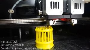 CreatBot F430 3d printer is printing birdcage