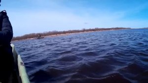 Проверка мереж промысловиков 09.04.2015