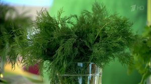 Укроп. Пряные травы на нашем столе. Жить здорово! Фрагмент выпуска от 01.07.2013