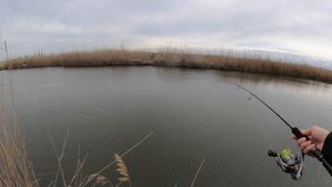 GRAPHITELEADER ASPRO 782ML против ЩУКИ