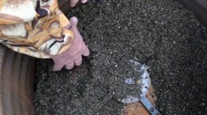 Дробилка соломы и навоза для летнего червячника|черви Дендробена