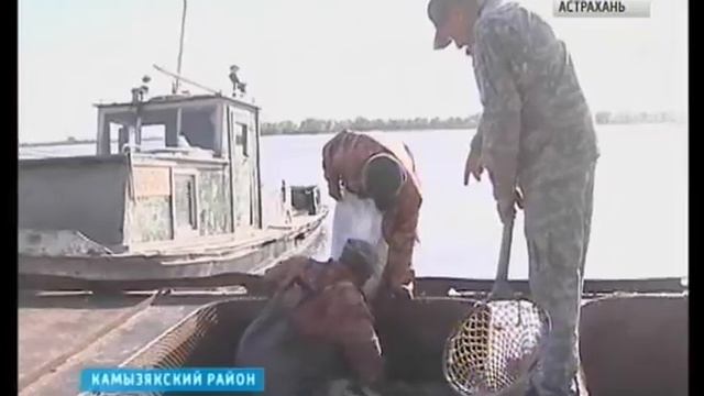 Любительская рыбалка для астраханцев останется бесплатной смотреть онлайн