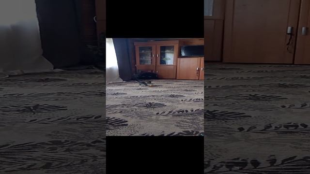 1000002256.mp4