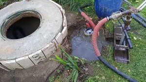 Абессинка солнечногорский район