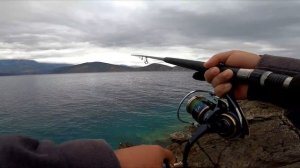 The jig, the fish, the sun & the clouds!  Three MASSIVE pelagic fighters! Feat: Sardine Slider Jig!