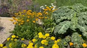 Декоративный огород