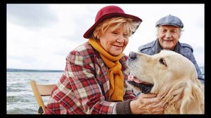 Какие в МВД льготы пенсионерам по выслуге лет в 2021 году