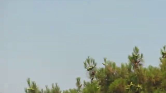 Максим Горький осматривает Ялту смотреть онлайн