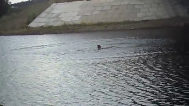 Прыжок с моста Североуральск-Карпинск смотреть онлайн