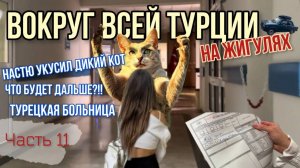 Вокруг ВСЕЙ Турции на ЖИГУЛЯХ! Укусил дикий лесной кот!😱Жесть!☠️Турецкая больница!😬Жизнь на ули