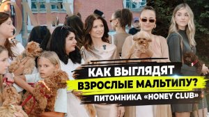 Встреча с выпускниками клуба мальтипу «Honey Club» на Aesthetic ONLY в Москве